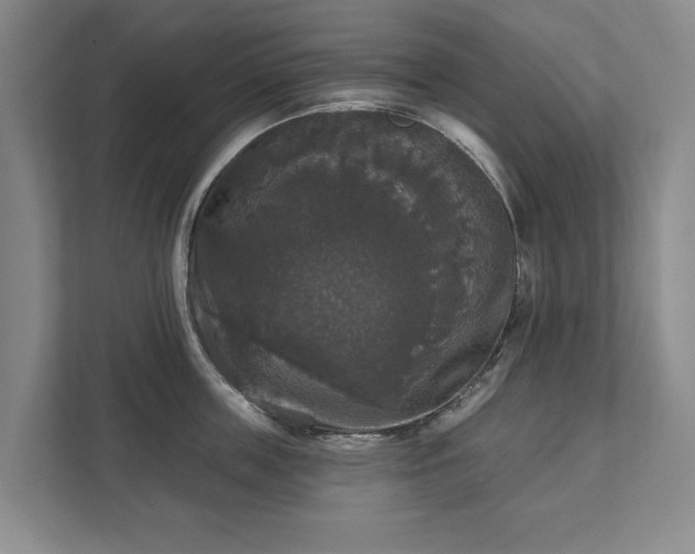 X0000111580859200907231234