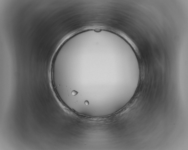 X0000111580861200907231234