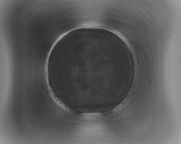 X0000111580864200907231234
