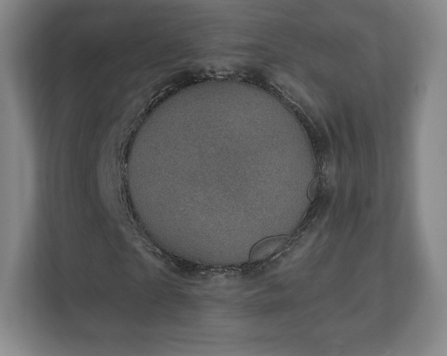 X0000111580865200907231233