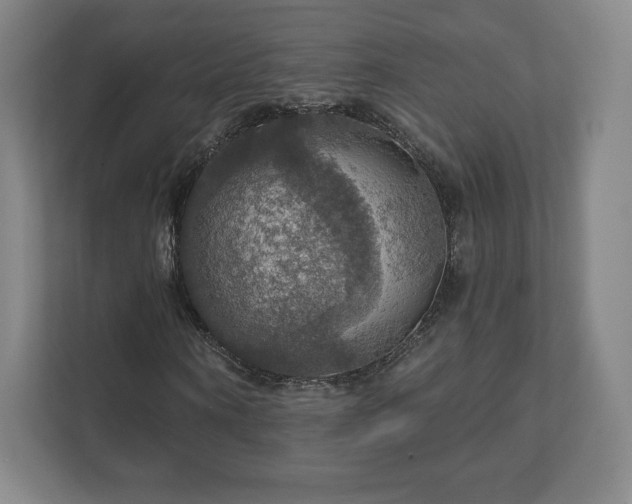 X0000111580866200907231233