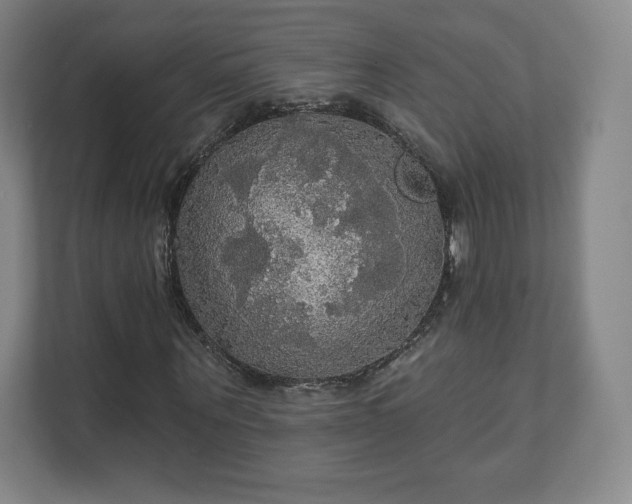 X0000111580867200907231233