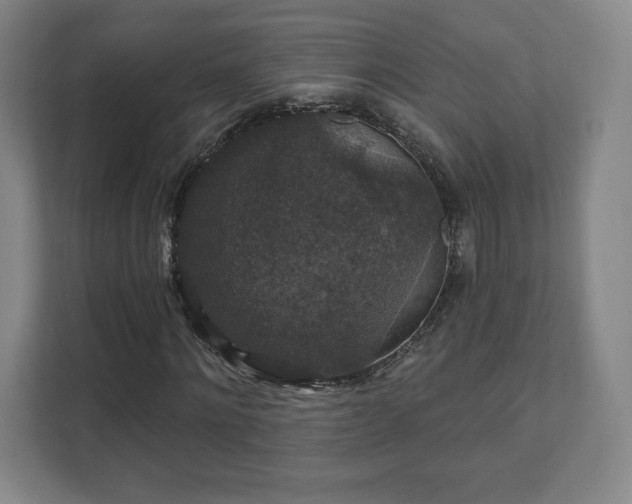 X0000111580868200907231233