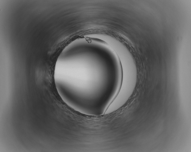 X0000111580869200907231233
