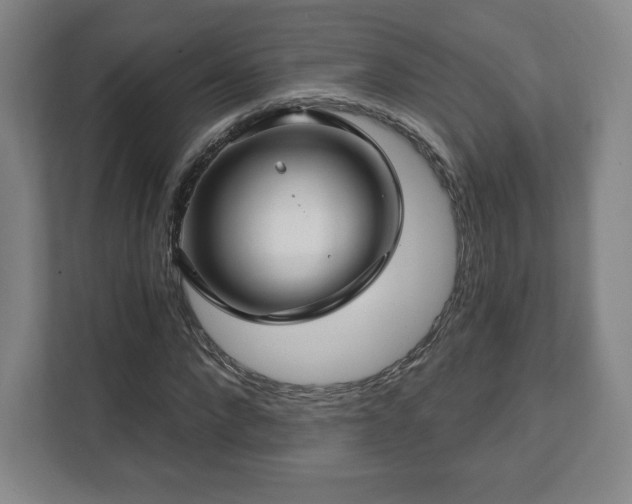 X0000111580872200907231233