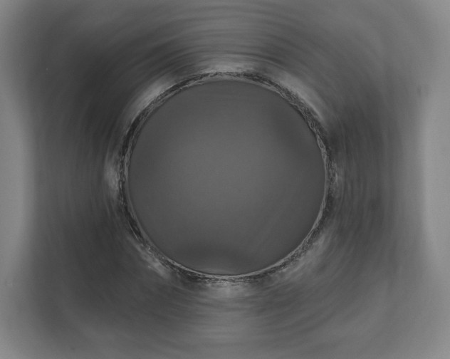 X0000111580874200907231233