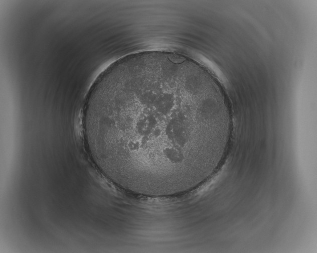 X0000111580875200907231233