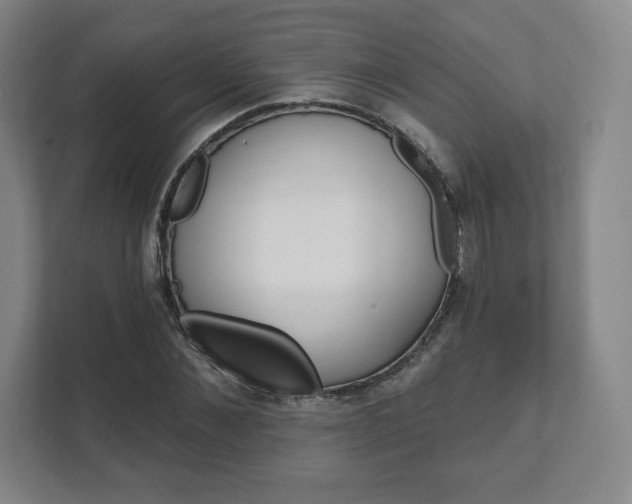 X0000111580876200907231233