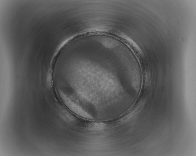 X0000111580878200907231233
