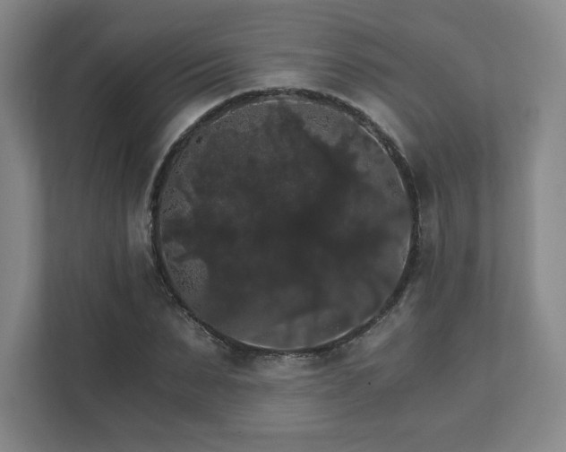 X0000111580879200907231233