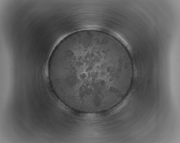 X0000111580883200907231233