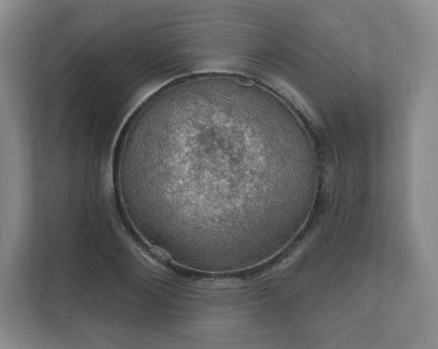 X0000111580884200907231233
