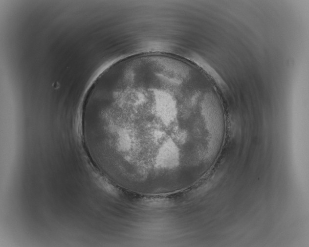 X0000111580886200907231233