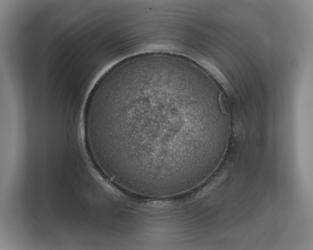 X0000111580888200907231233