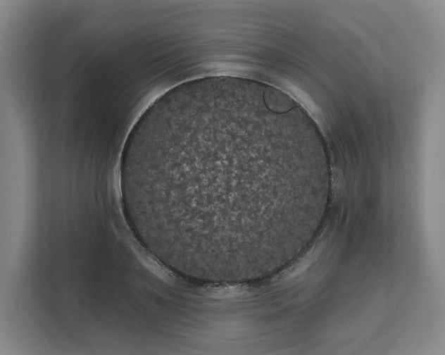 X0000111580891200907231233