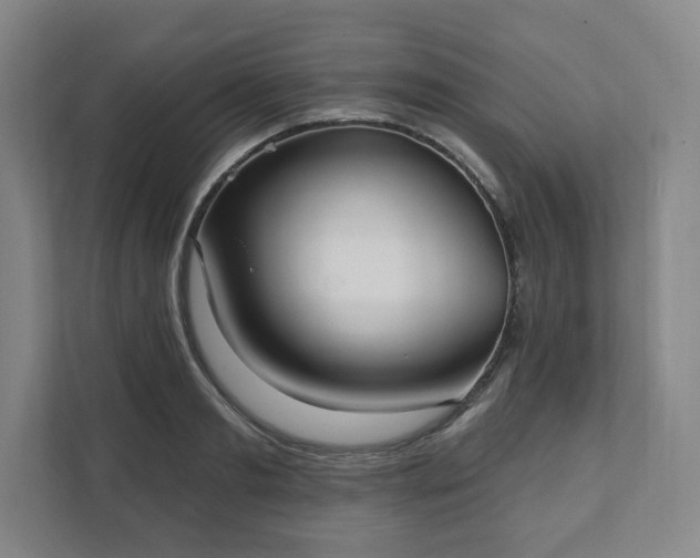 X0000111580893200907231233