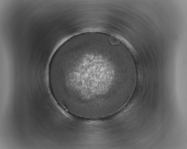 X0000111580894200907231233