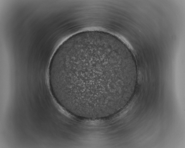 X0000111580895200907231233