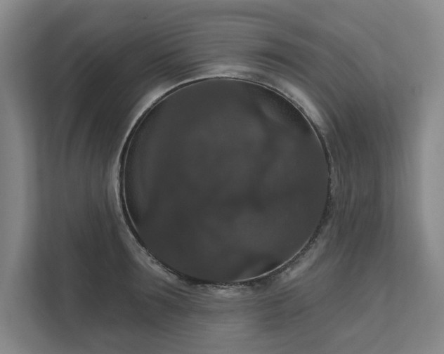 X0000111580899200907231233