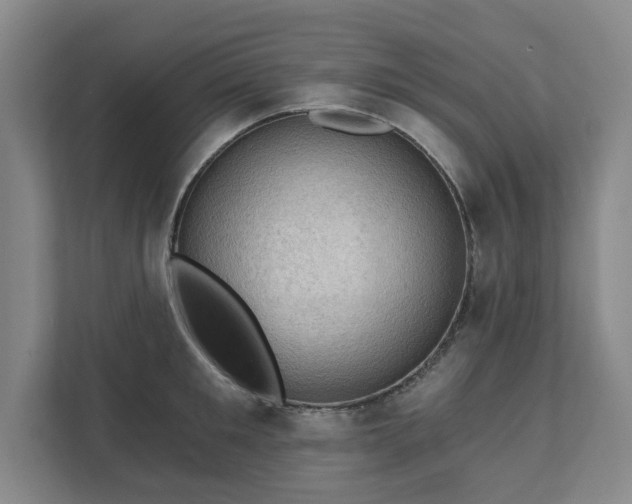 X0000111580901200907231233