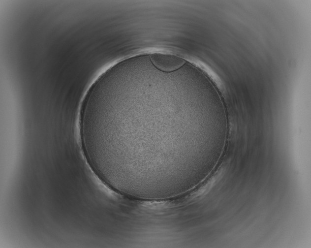 X0000111580902200907231233