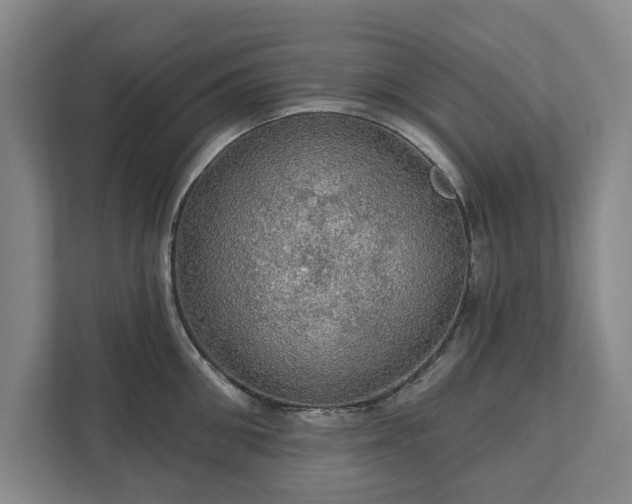 X0000111580906200907231233
