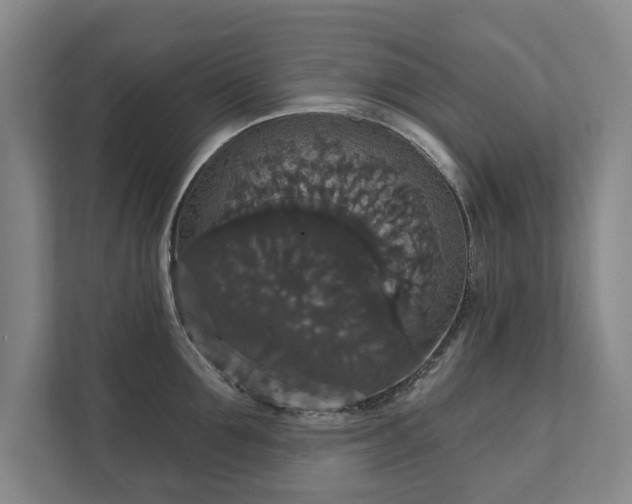 X0000111580907200907231233