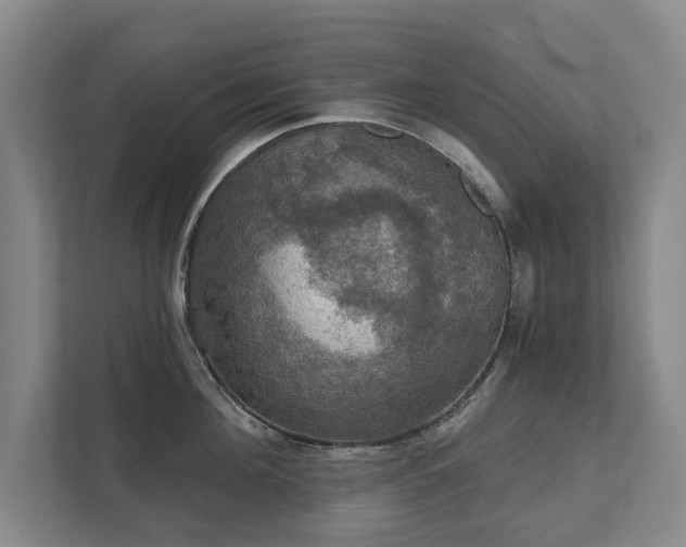 X0000111580908200907231233