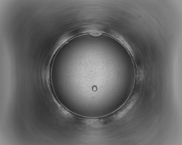 X0000111580909200907231233