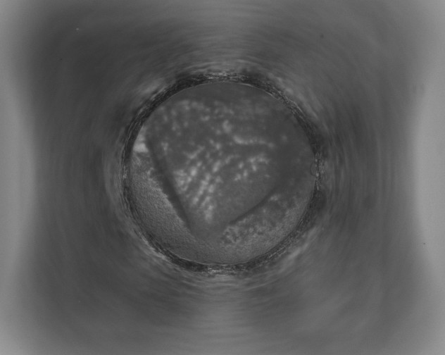 X0000111580913200907231232