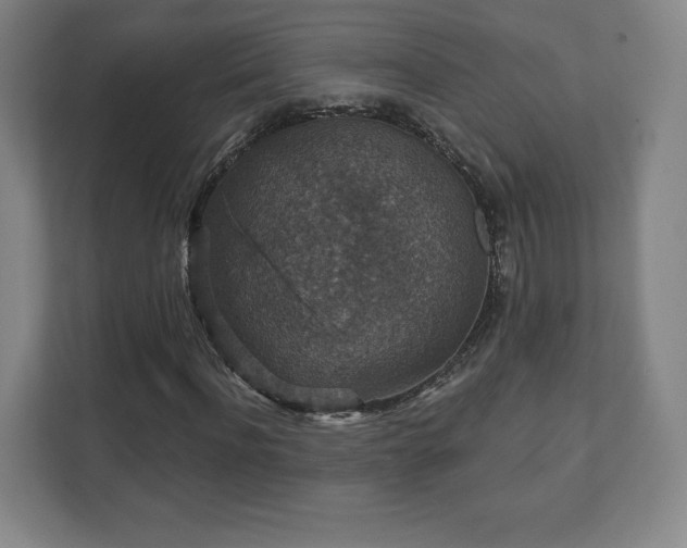 X0000111580916200907231232