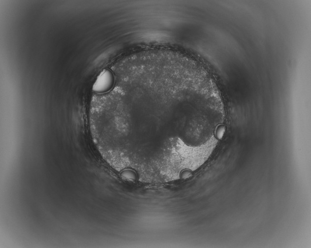 X0000111580918200907231232