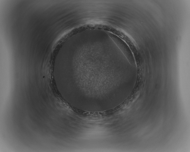 X0000111580919200907231232