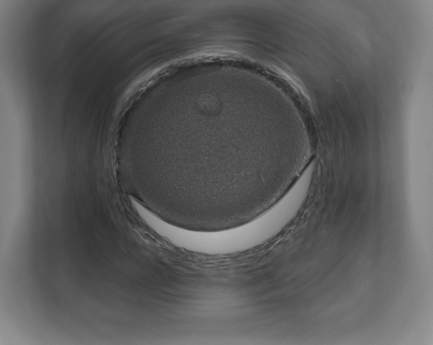 X0000111580920200907231232