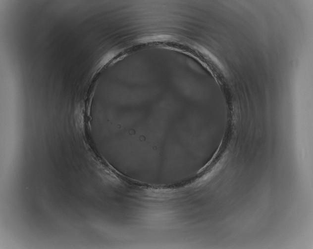 X0000111580921200907231232