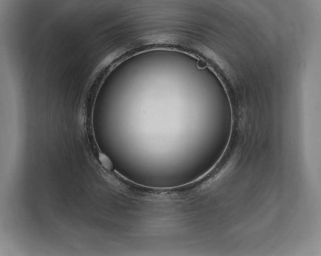 X0000111580922200907231232