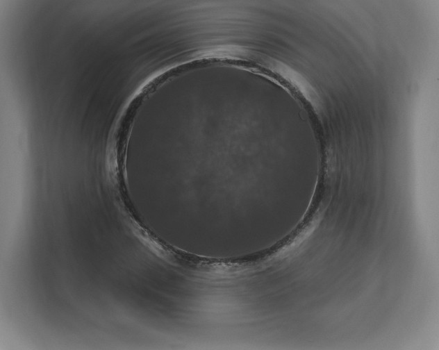 X0000111580923200907231232
