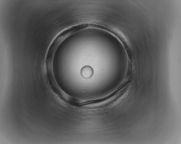 X0000111580924200907231232