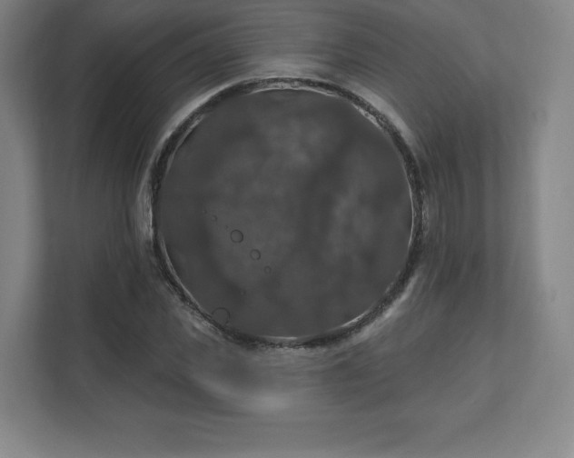 X0000111580925200907231232