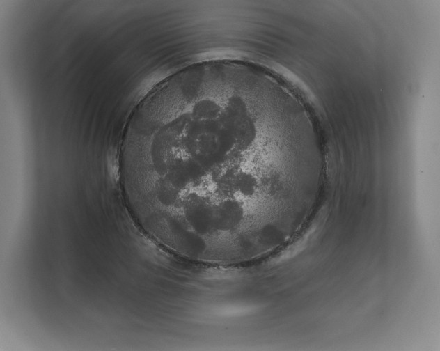 X0000111580929200907231232