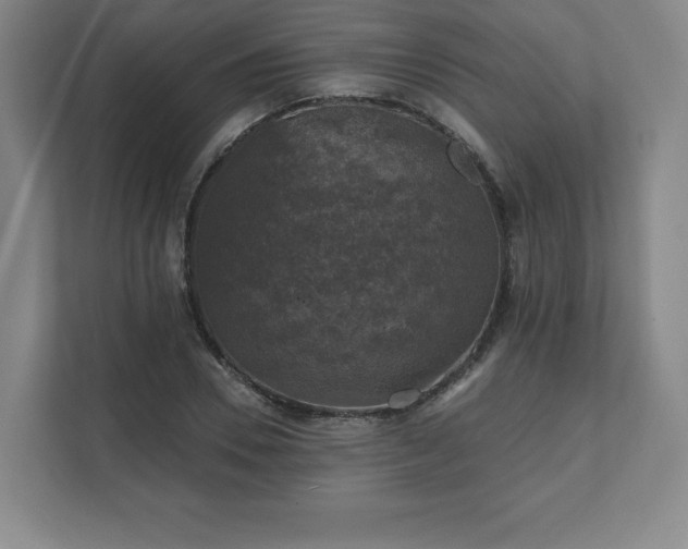 X0000111580930200907231232