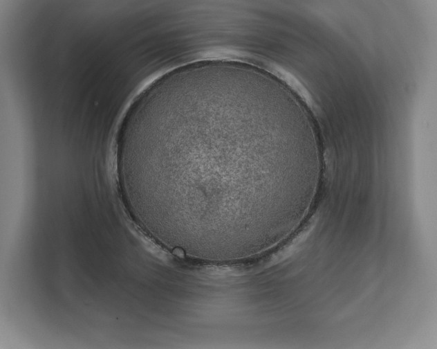 X0000111580931200907231232