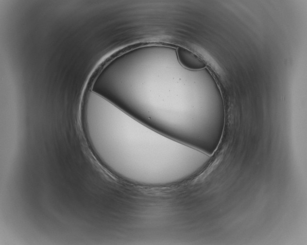X0000111580932200907231232