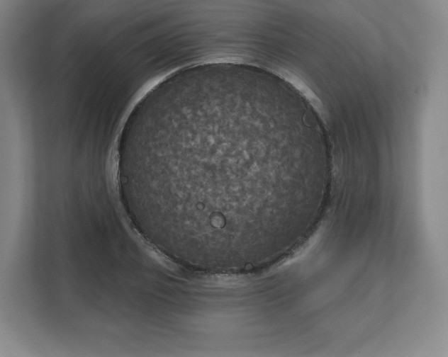 X0000111580933200907231232