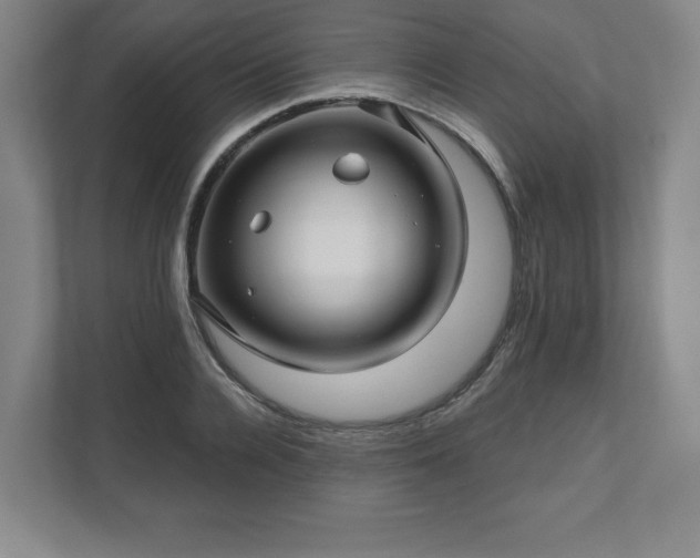 X0000111580936200907231232