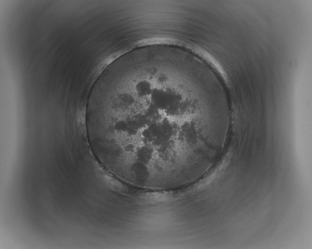 X0000111580937200907231232