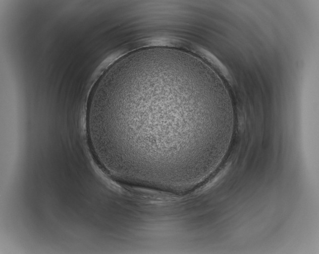 X0000111580938200907231232
