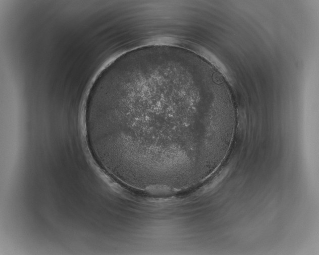 X0000111580939200907231232