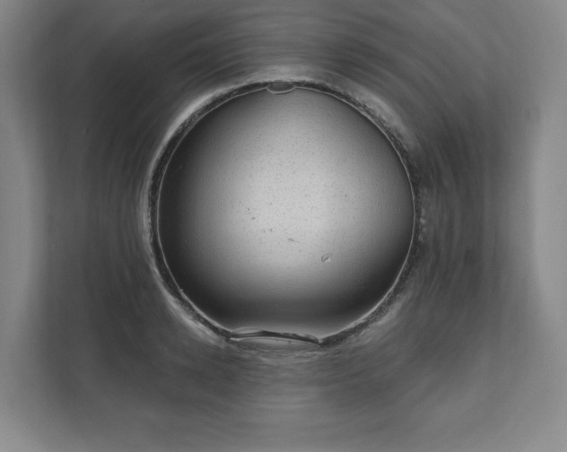 X0000111580942200907231232