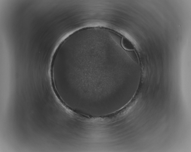X0000111580943200907231232